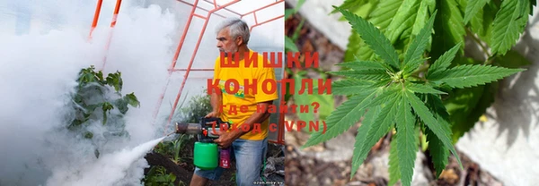 спиды Арсеньев