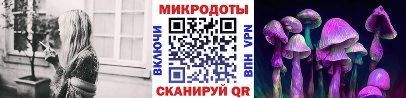 Псилоцибиновые грибы мицелий  Полысаево 